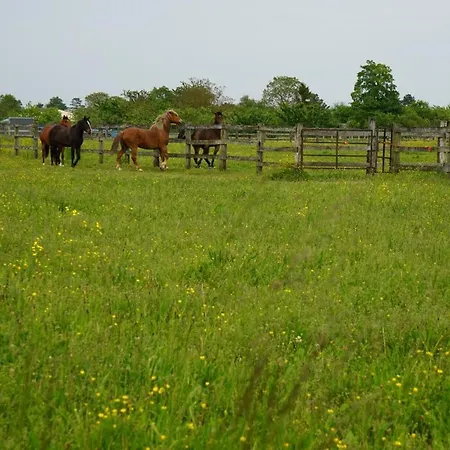 Le Chalet Dans La Prairie Mery-sur-Seine