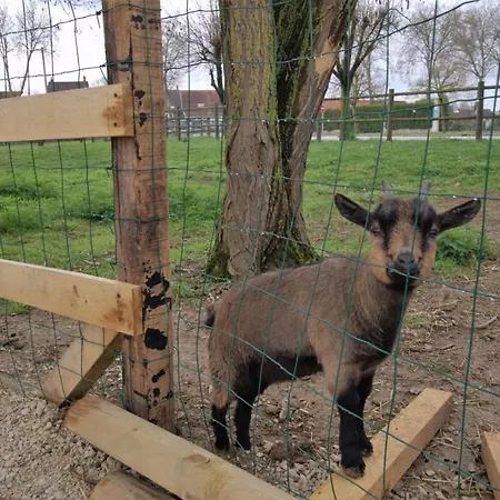 Le Chalet Dans La Prairie * Mery-sur-Seine