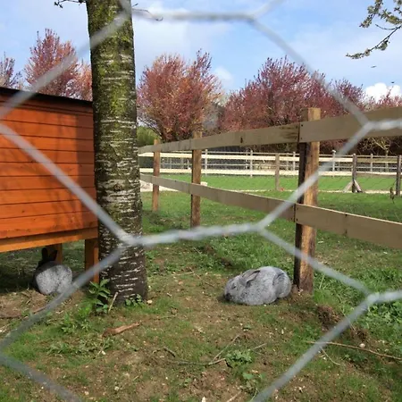 Vakantiehuis Le Chalet Dans La Prairie *