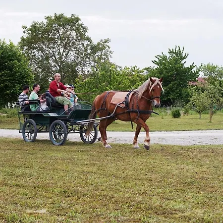 Le Chalet Dans La Prairie