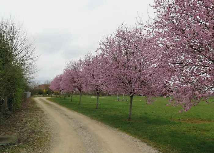 Le Chalet Dans La Prairie Casa vacanze *