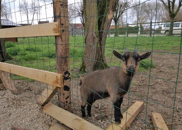 Le Chalet Dans La Prairie * Mery-sur-Seine