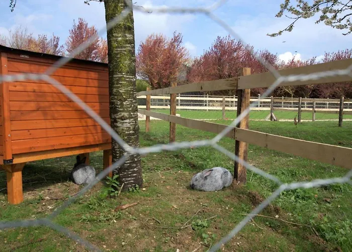 Casa vacanze Le Chalet Dans La Prairie *